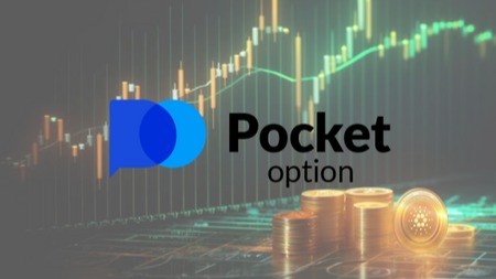 Comprehensive Guide to Pocket Option Contacts